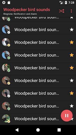 Appp.io - Woodpecker bird sounds screenshot 3