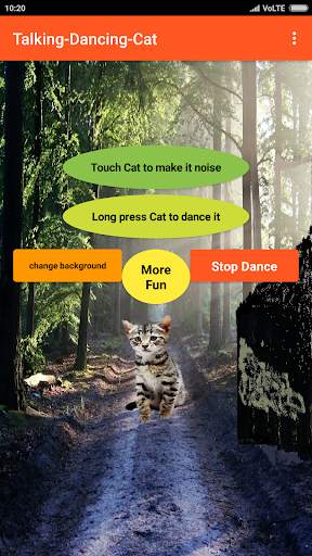 Talking Cat-Animal-Dance app screenshot 2