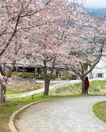Beautiful Spring Wallpaper screenshot 2