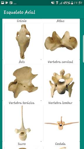 Anatomia Veterinária скриншот 5