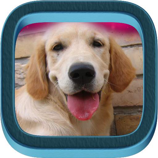 Golden Retriever 3.0