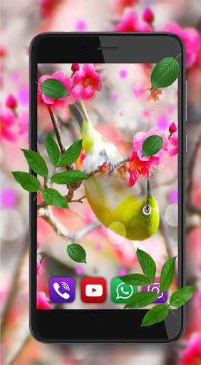 Colibri Free LWP screenshot 6