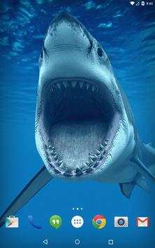Pig Tiger Shark Turtle screenshot 13