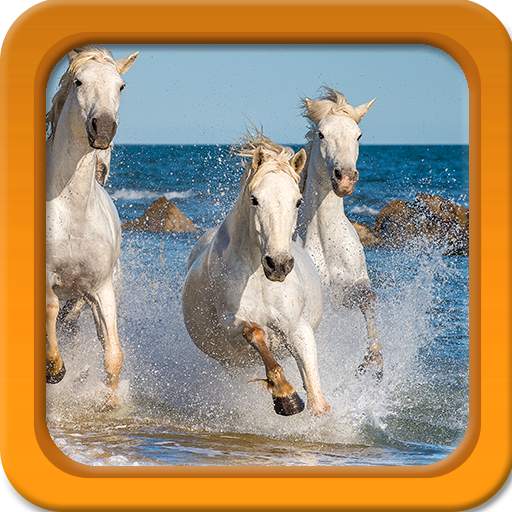 Horse Live Wallpapers 1.7