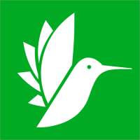 Flashcards Maker Flash Cards on 9Apps