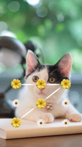 AppLock Theme Cat скриншот 1
