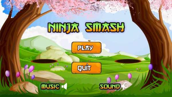 Ninja Vurmaca / Ninja Smash screenshot 1