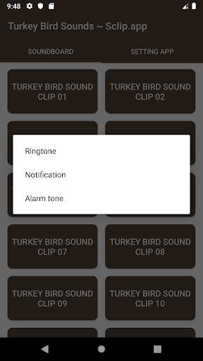 Turkey Bird Sound Collections ~ Sclip.app screenshot 4