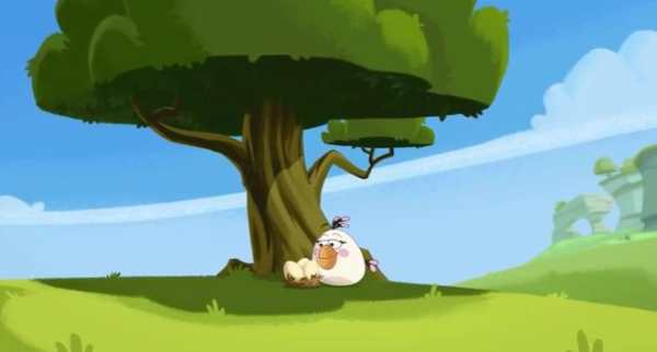 Video Of Angry Birds स्क्रीनशॉट 2