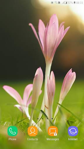 Spring Wallpaper screenshot 13