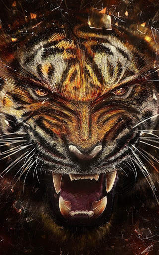 Tiger Wallpapers | hd backgrounds screenshot 1