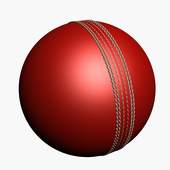 Cricket 2 1.1