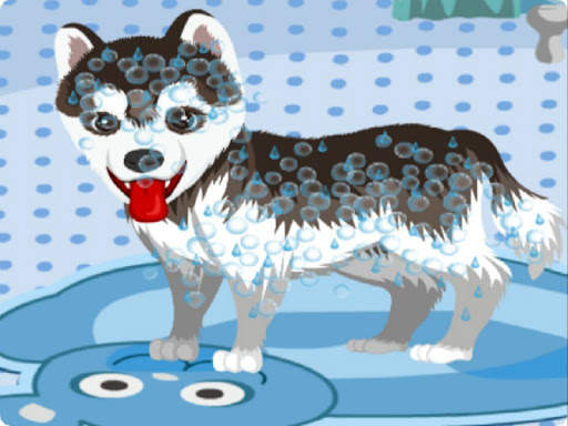 My Cute Dog Bathing screenshot 1