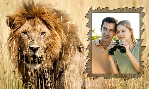 Lion Photo Frames screenshot 11