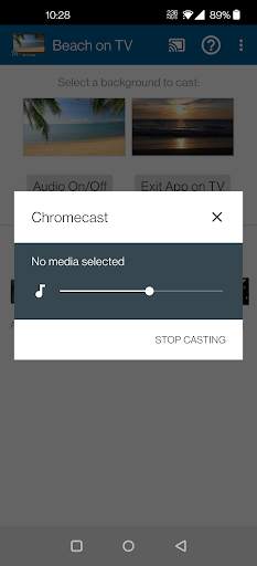 Beach on TV via Chromecast screenshot 5