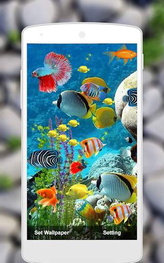 Fish Live Wallpaper Machhali Live Wallpaper screenshot 2