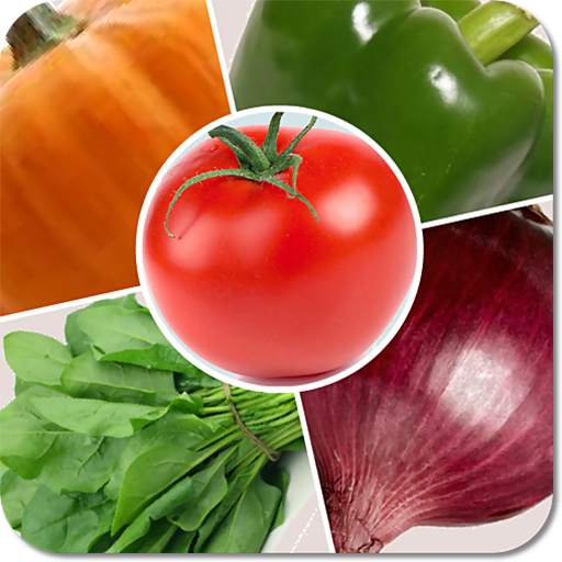 Kids Learn Vegetable Game 1