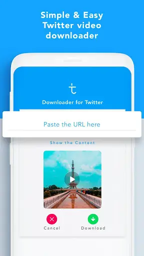 Social Video Downloader screenshot 3