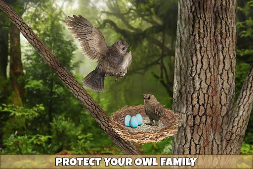 Owl Bird Simulator Birds Game screenshot 11