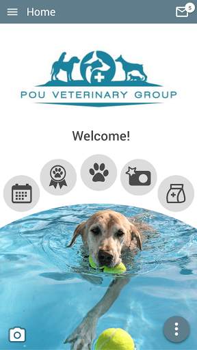 Pou Vet Group screenshot 1