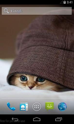 Cute Cat Wallpaper HD screenshot 2