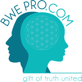 BWE Pro icon