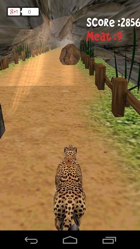 Animal Run :Cheetah 3D screenshot 3