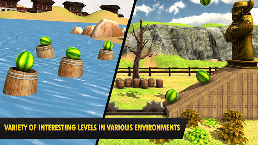 Watermelon shooting game 3D screenshot 18