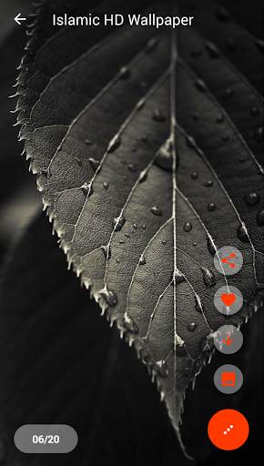 Islamic HD Wallpapers & Backgrounds screenshot 4