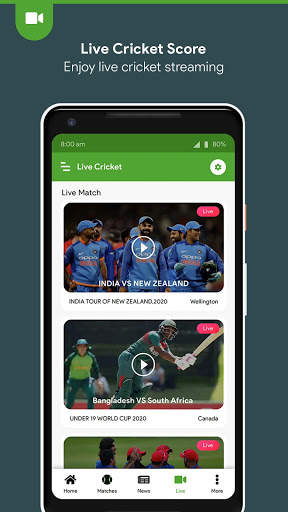 Cricket Live Line : Fast Live Cricket Scores screenshot 5