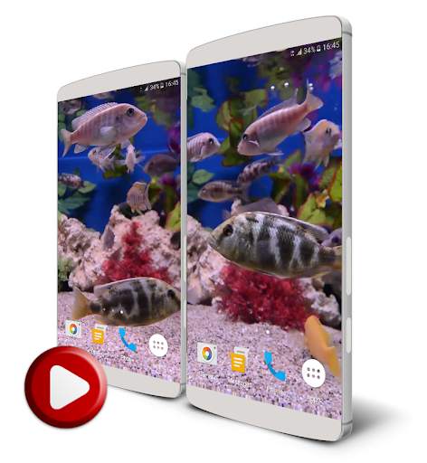 Aquarium 4K Live Wallpaper screenshot 2