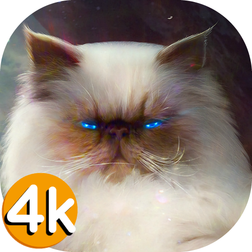 🐱 Cat Wallpapers - Cute 4K | HD Cat Pictures ❤ icon