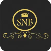 Shree Navkar Bullion icon