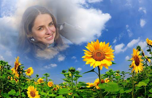 Sunflower Photo Frames screenshot 5