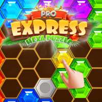 Express Pro Hexa Puzzle Fill