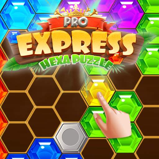 Express Pro Hexa Puzzle Fill 2.2.2