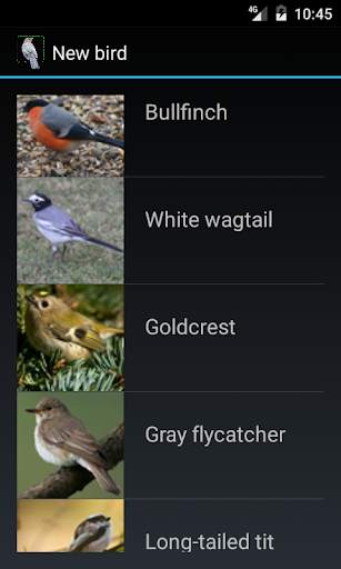 British Birds screenshot 4