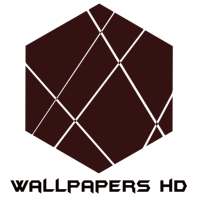 Wallpapers HD - Browse & Download Huge Collections logo