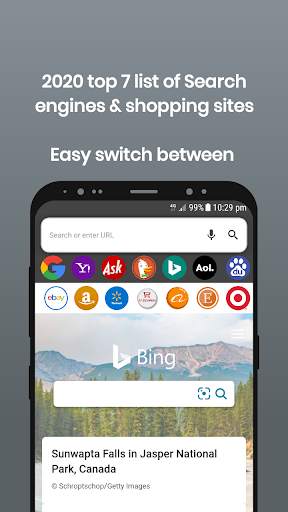 PVT Browser - Privacy web searching screenshot 2