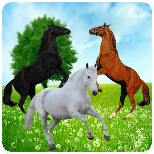 Horse Racing screenshot 5