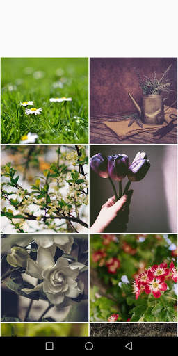 Text on Photo screenshot 4