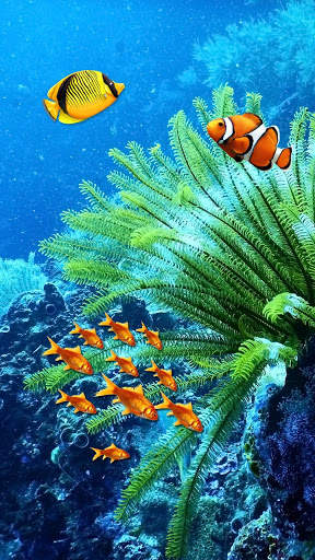 Fish Lock Screen Live Wallpaper 7 تصوير الشاشة