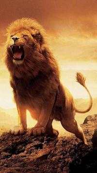 Lion King Wallpaper HD screenshot 6