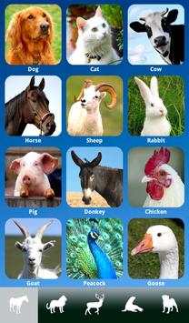ZOOLA Animals - FREE screenshot 17