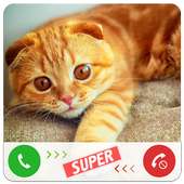 Fake Call Cat