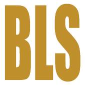 RDV BLS 2.8