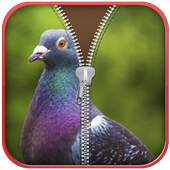 Bird Zip Screen Lock 1.0