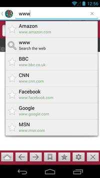 P Browser screenshot 2