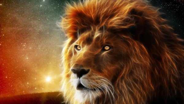 The king of beasts screenshot 2