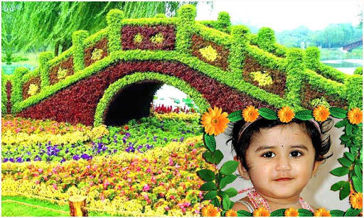 Beautiful Garden Photo Gallery скриншот 2